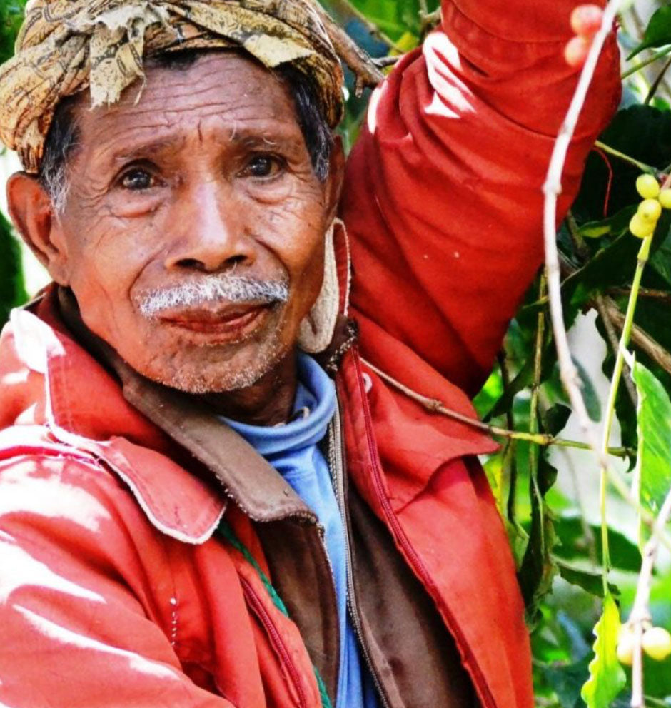 Man in a red jacket holding a branch with green leaves and small fruits.