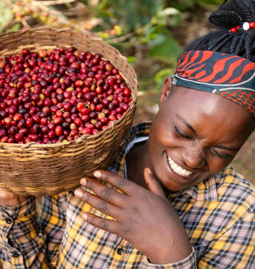 Woman holding a basket of red coffee cherries in a natural setting