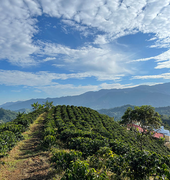 Colombia Mina Rica Decaf