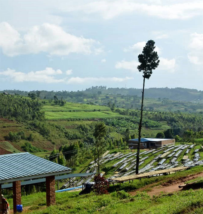 Rwanda