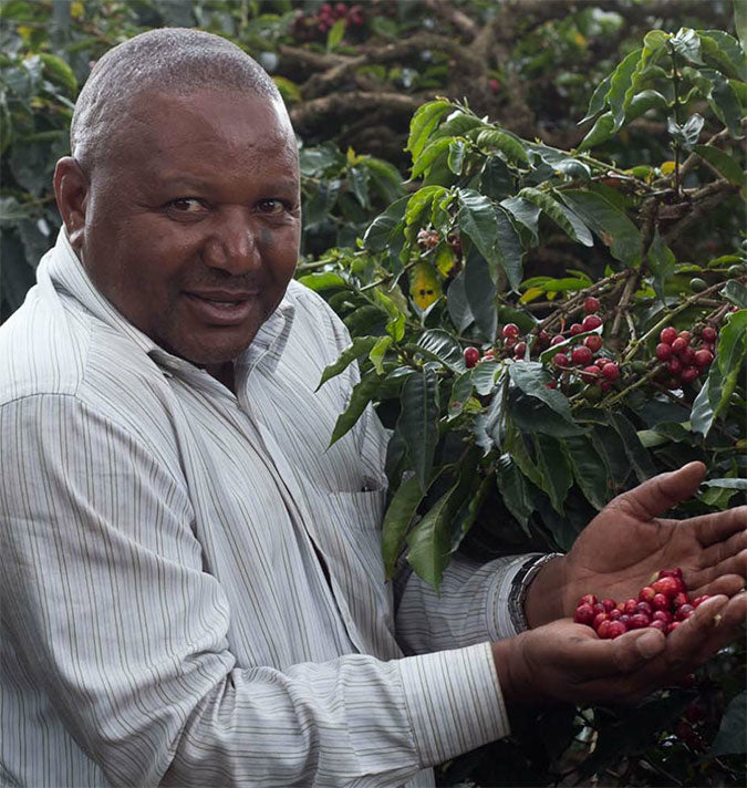 Falling Leaf