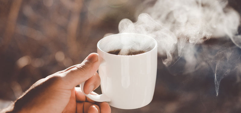 Stainless Steel Tumblers - Homestead Coffee Roasters