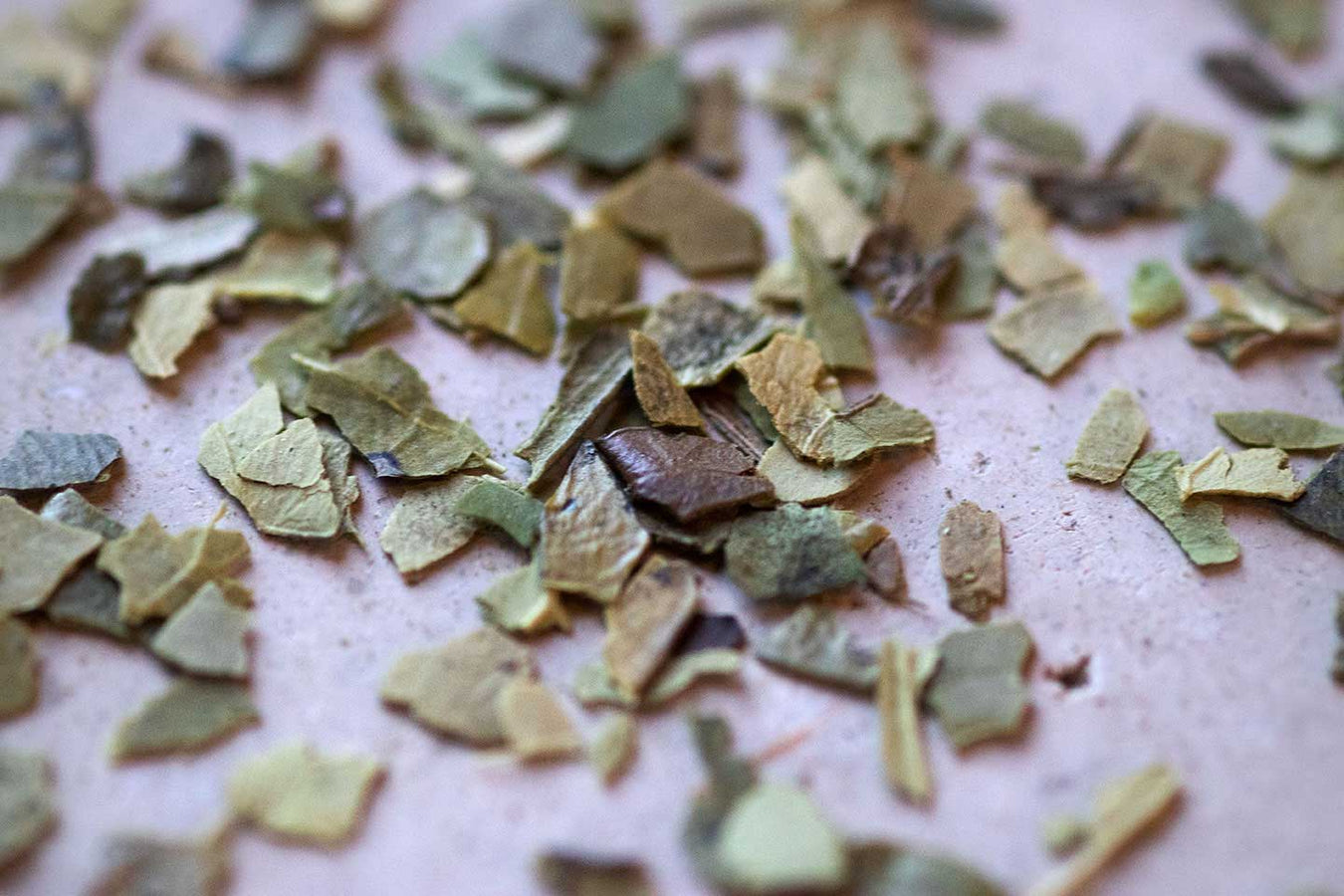 Organic Green Yerba Mate Loose Leaf Tea Homestead Coffee Roasters