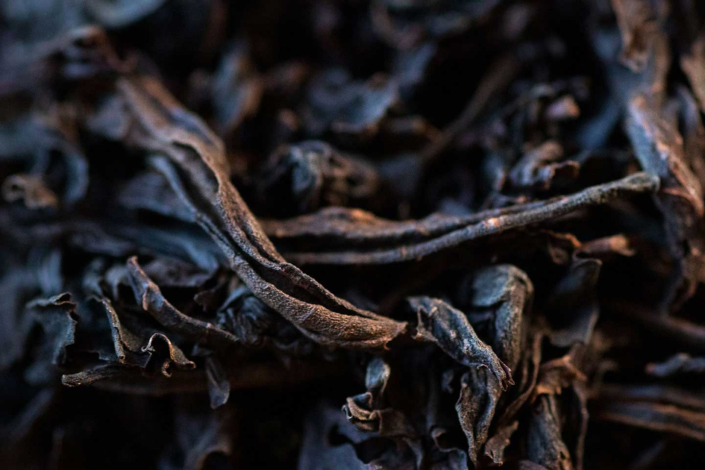 Organic Nilgiri Black Whole Loose Leaf Tea